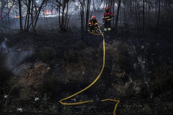 Patricia Melo Moreira-06